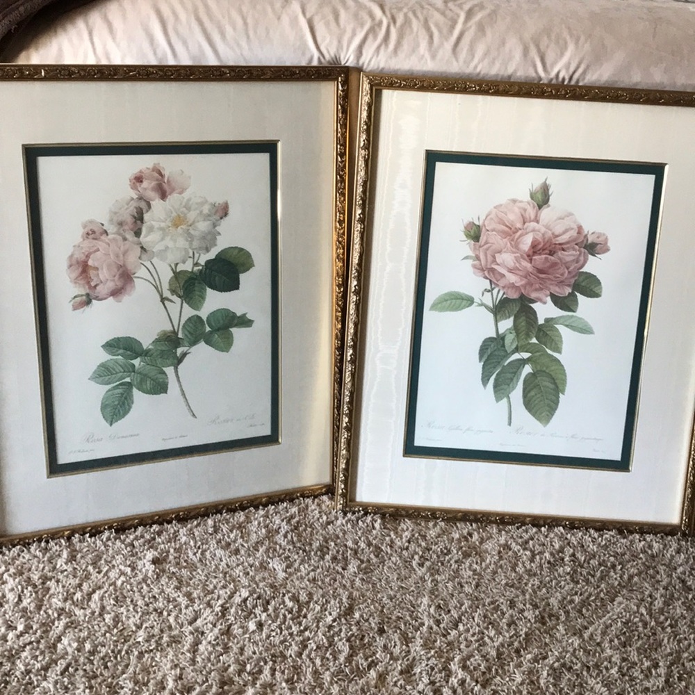"The Rose and Rosa Damascena" The Bombay Co